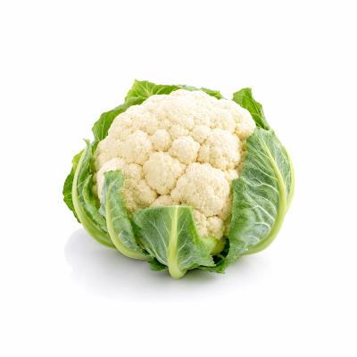 Fresh Cauliflower